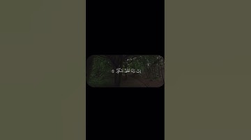 #اكسبلور #قرآن #تلاوات #القرآن_الكريم #اكسبلور_explore