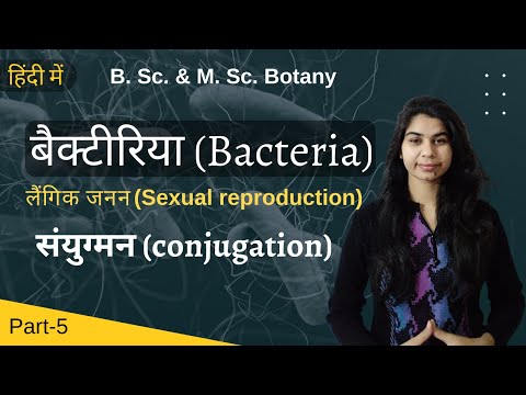 Bacteria in Hindi (बैक्टीरिया हिंदी में) || लैंगिक जनन || संयुग्मन (conjugation) || Botany