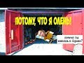 Почему я живу в гараже? Потому, что я олень!