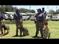 Tuesday 22 November 2016 - K9 Narcotics Tactical Unit - SA Guide Dogs Association Tuesday 22 November 2016 - K9 Narcotics Tactical Unit - SA Guide Dogs Association