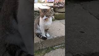 Az Sonra Alacağım Seni Içeri 🧿😂🥰 Resimi