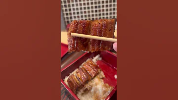 Unasho Recommended Eel Cuisine In Akihabara 