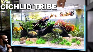 The Cichlid Tribe Exquisite All In 1 Aquarium Kit