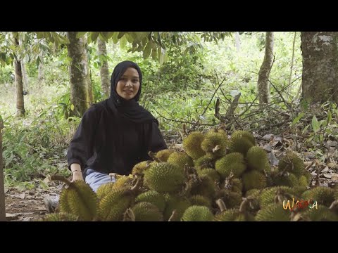 Kejagung Janji Tertibkan Tambang Ilegal dan Percepat Reklamasi di Kalimantan Timur