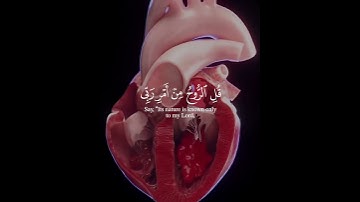 و يسلو نك عن الروح || القارى ياسرالدوسرى #تلاوة_خاشعة #القرآن_الكريم #اكسبلور #quran