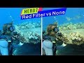 GoPro Hero7 Black: Red Filter VS None UnderWater Comparison - GoPro Tip #638 | MicBergsma