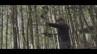 Techniques de tir à l'arc