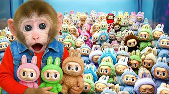 Monkey Choco Challenge With Labubu Vending Machine & Unbox With Ducklings | CHOCO Challenge US