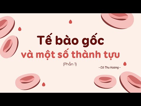 Video Bài 2. Tế bào gốc và một số thành tựu (P1) - Chuyên đề... - youtube
