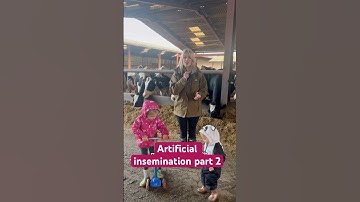 Artificial insemination part 2