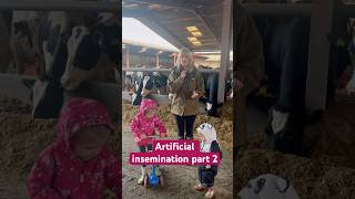 Artificial Insemination Part 2