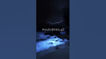سورة الحاقة|٢٧ـ٣٧|القارئ:#ياسرالدوسري #قران #quran #راحة_نفسية #قران_كريم #تلاوة_هادئة  #تلاوة_خاشعة
