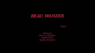 Beau Wanzer - Beefhearts