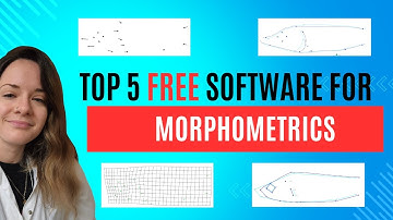 Top 5 Free Software for Morphometrics