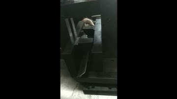 CNC busbar processing machine #busbat# punching #cutting #bending #cncmachine #factory