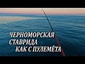 Попал на Раздачу Крупной Черноморской Ставриды. Рыбалка как с Пулемёта. Черное Море