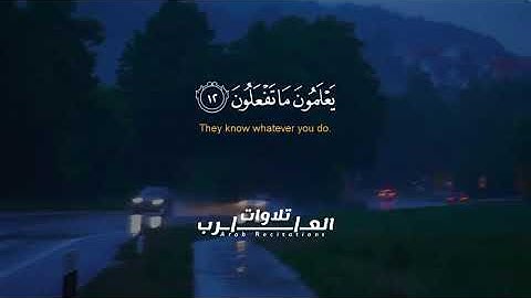 سورة الانفطار للقارئ الشيخ ياسر الزيلعي