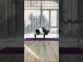 Try this simple Twisted Arm balance pose #advanceyoga #armbalance #twistedpose