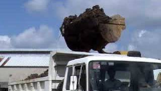 Cmdccmdf Heo Training Center Dasma, Cavite