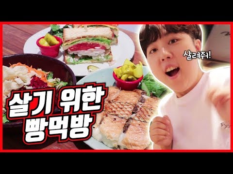 뽀니님 그렇게 빵만 먹다가는 병나요... [카페마마스 먹빵] | Sandwiches and salad Muckbang