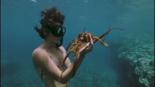 Download lagu “How extraordinary a life was meant to be” | ‘Burgs’ - Mt. Wolf