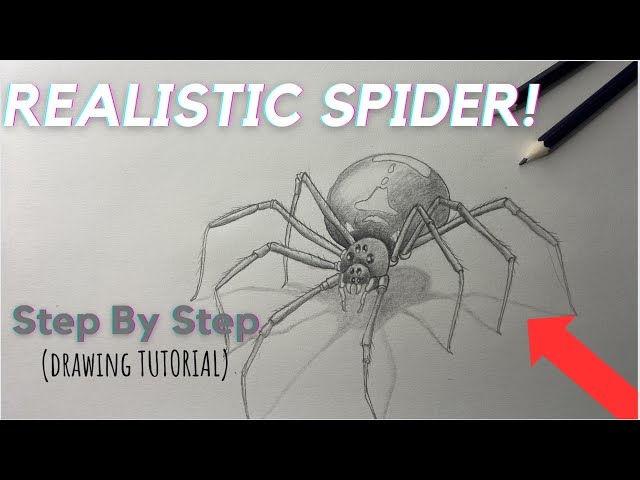 Realistic 3D Redback Spider Pencil Drawing | Soular Tattoo | Flickr