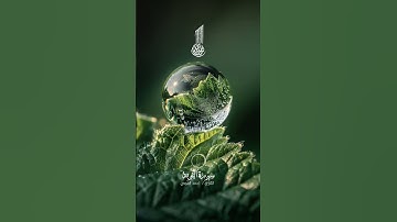 القران الكريم تلاوة خاشعة #القرآن_الكريم #اكسبلور #تيك_توك #لايك #دويتو