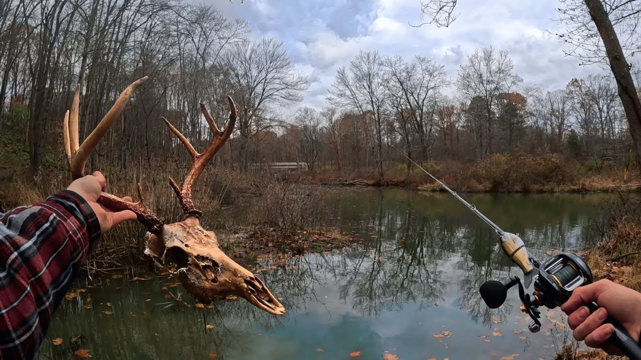 This Creek is Loaded With Big Predator Fish!!! (Mistakes Were Made)