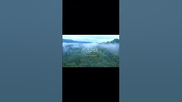 (86) سَيَقُولُونَ لِلَّهِ ۚ قُلْ أَفَلَا تَتَّقُونَ #القارئ #ياسر_الدوسري #سورة #يوسف