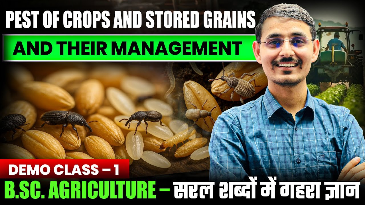 pests of crops and stored grains and their management 5th semester | bsc agriculture 5th entomology