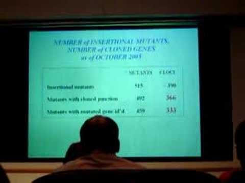 Nancy Hopkins at The University of Texas at Austin Part 2