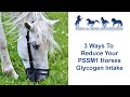 3 Ways To Reduce Your PSSM1 Horses Glycogen Intake