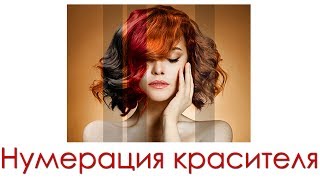 Нумерация красителя Tutorial 41