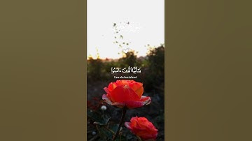 قرأن كريم راحه نفسيه ما تيسر من القرآن الكريم #اكسبلور #قران_كريم #راحة_نفسية #لايك