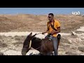 صحفي يركب على حمار بعد قيام الجيش بمنعه من الوصول بمركبته إلى مكان هدم في يطا