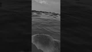 (VRC Mid Palau) Japanese plane guncam