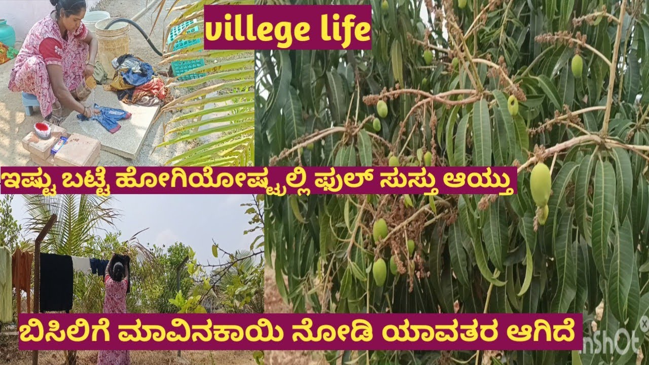 ಅಬ್ಬಾ ಇಷ್ಟು ಬಟ್ಟೆ ಹೋಗಿಯೋಷ್ಟ್ರಲ್ಲಿ ಫುಲ್ ಸುಸ್ತಾದೆ ಇವತ್ತು //ಬಿಸಿಲಿಗೆ ಮಾವಿನಕಾಯಿ ನೋಡಿ ಹೇಗಾಗಿದೆ //daylilif