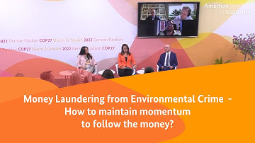 Money Laundering from Environmental Crime - How to maintain momentum to follow the money?