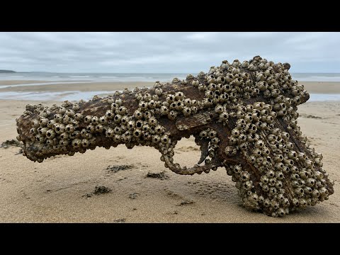Diver Found a Rusty Gun Underwater | Amazing Ocean Discovery & Restoration #barnacles 