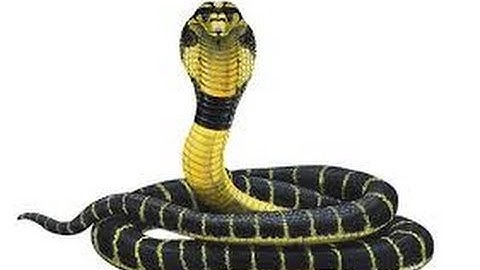 [DLD Fun] Sequential Latches and Flip Flops 1/3