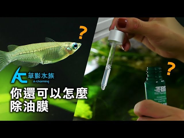 神啊 賜予我更多的除油膜方法 草影開箱 Youtube