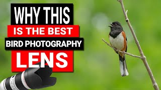 Best Bird Photography lens for Canon, Sony, Nikon Cameras