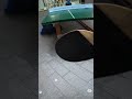 Penhold RPB Power #pov #gopro #4k #60fps #tabletennis #pingpong #china #india #funny #training
