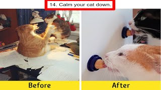 14 Awesome Life Hacks That Can Make Cat Owners -best life hacks for cats - Life Hacks For Cats 2020