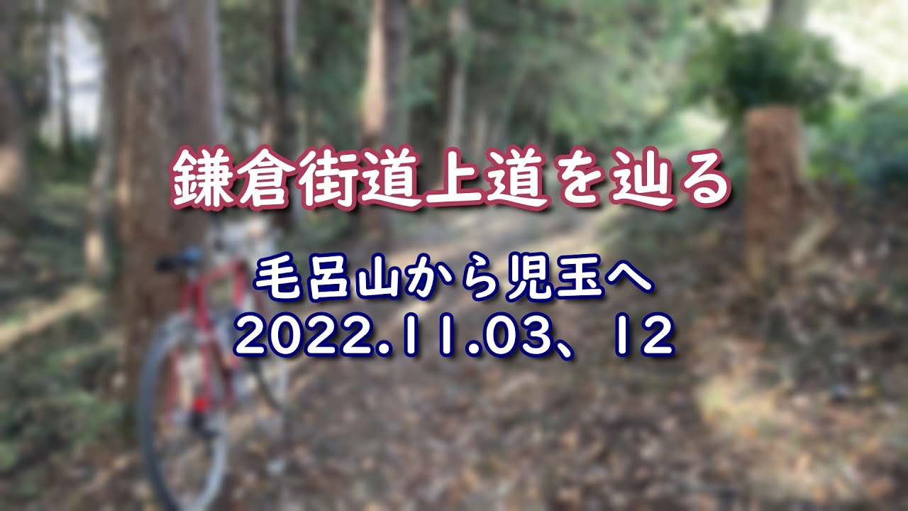 鎌倉街道上道を辿る　毛呂山から児玉へ