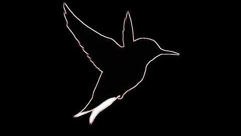 🔥Bird Water Liquid🔥New Avee Player Temple Black Screen🔥Video New 2020🔥For Kinemaster Editor🔥