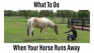 What To Do When Your Horse Runs Away