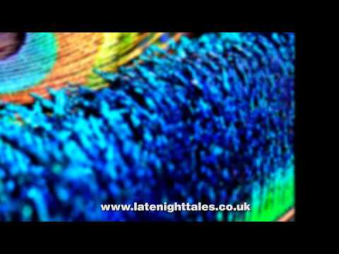 Putar Under the Sun - Friendly Fires
