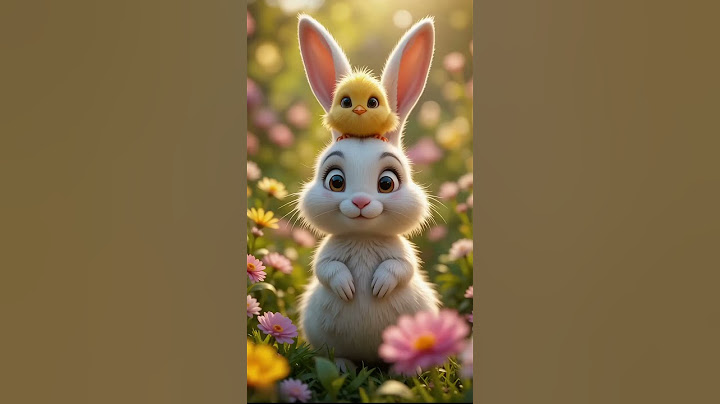 Best Friends Forever: Bunny & Chicken 💞