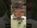 Starting a Christmas Tree Farm